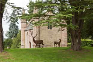 Go behind the scenes at Scone Palace