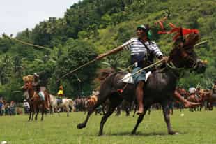 Visit the Pasola Festival Field