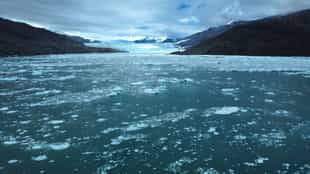 See Montt Glacier's face near Tortel by dinghy