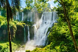 Explore Iguazu Falls by bicycle