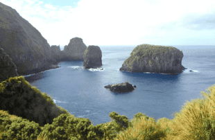 Zodiac cruise in Quest Bay, Gough Island