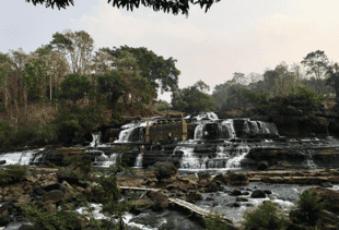 Trek in Chiang Mai mountains