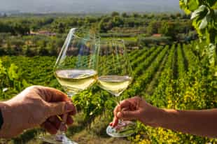 Go on a wine tasting tour in Marsala