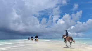 Go horseback riding in Zanzibar