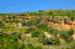 Walk through the Kolymbethra Garden, Agrigento