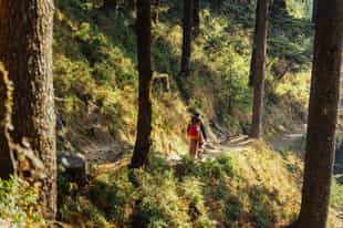 Hike the remote Lungchutse trail near Punkha