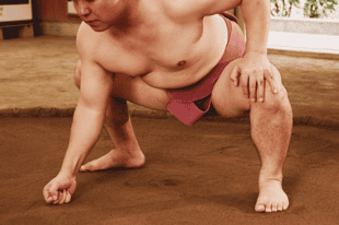 Attend a sumo wrestling show in Tokyo