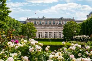Wander the gardens of the Palais-Royal