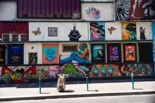 Discover Paris street art with a guide