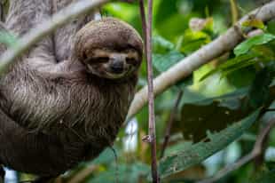 Visit the Ecocentro Danaus in Arenal 