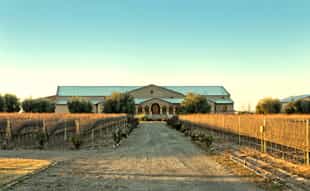 Create your own sparkling wine in Mendoza