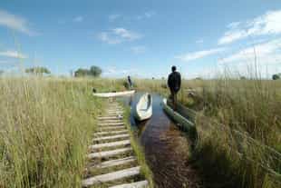 Mboma Island Camp
