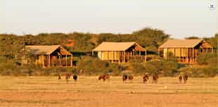 Suricate Kalahari Tented Lodge