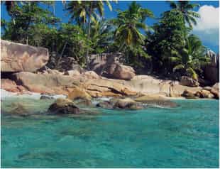 Mango Lodge