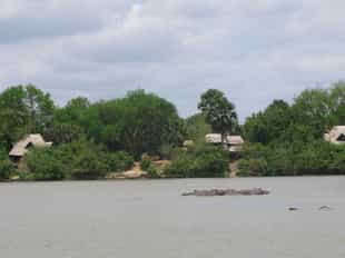 Selous Wilderness Camp
