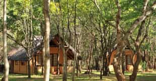 Bushfront Lodge