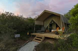 Shamwari Explorer Camp