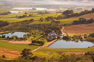 Chiefs Luxury Mobile Camp in the Winelands