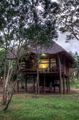 Zululand Tree Lodge