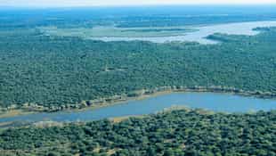Ndumo Lodge