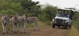 Mkhuze Safari Tented Camp