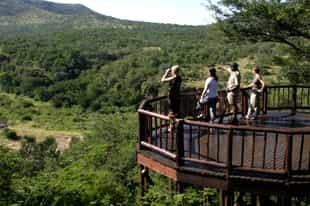 Mkuze Falls Private Game Reserve