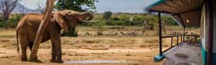 Sentrim Tsavo East