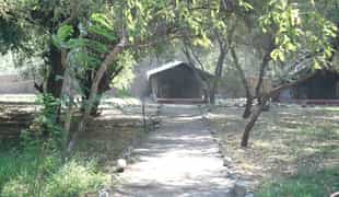 Natron River Camp