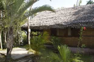 Palmarium