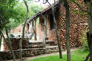 Bhubesi