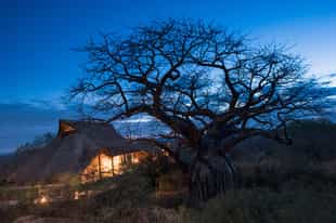 Ithumba Private Camp