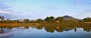 Ulusaba Treehouse Suite
