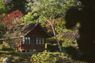 Mufindi Highlands Lodge