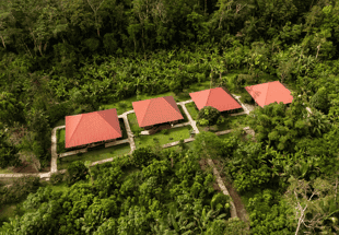 Yasuní Ecolodge 