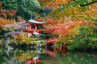 Enjoy the Daimonji Hike