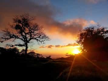 Take a night walk in the Curi-Cancha Reserve