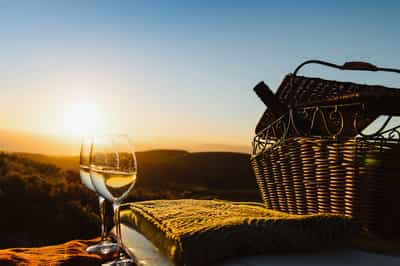 Go wine tasting in the Hemel-en-Aarde, Hermanus
