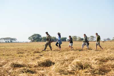 Track wildlife on a guided walking safari in Kafue