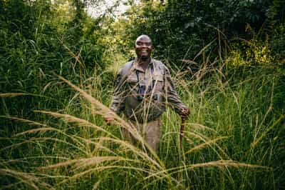 Book a private guide for an exclusive safari
