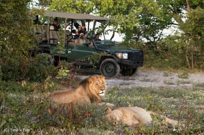 Game drives in Liuwa Plains