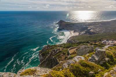Explore the Cape Peninsula with your own guide