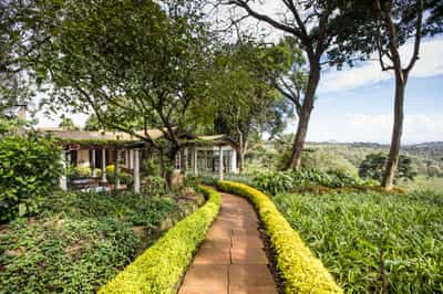 Visit the Ngorongoro coffee plantations