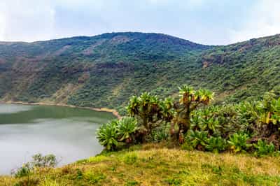Hike around the crater lakes of Mount Bisoke