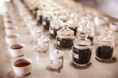 Take a tour of a tea plantation in Galle
