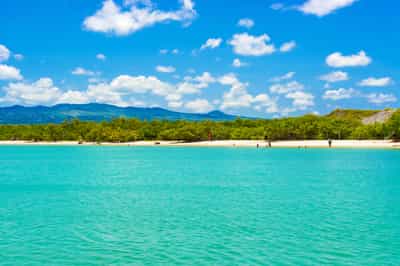 Go swimming in the crystal waters of Santa Cruz