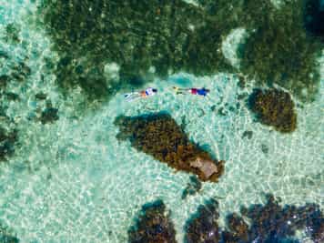 Go snorkelling at Tayrona National Park's beaches