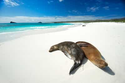 Explore Gardner Bay, Osborn Islet & Suarez Point