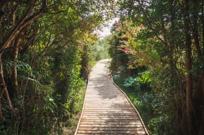 Go hiking in Chiloe National Park 