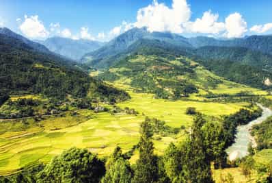 Meet local residents at a Paro Valley farmhouse