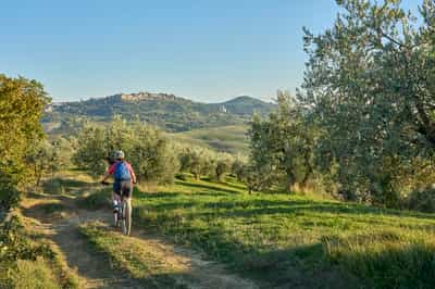 Take a bike tour of Chianti from Florence